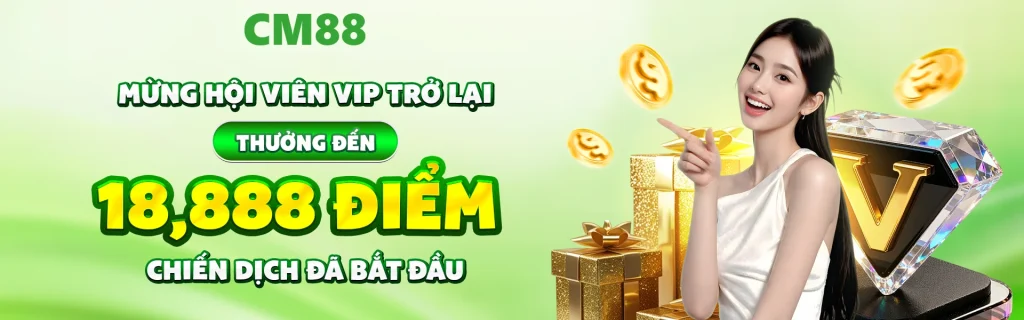 cm88 banner artography